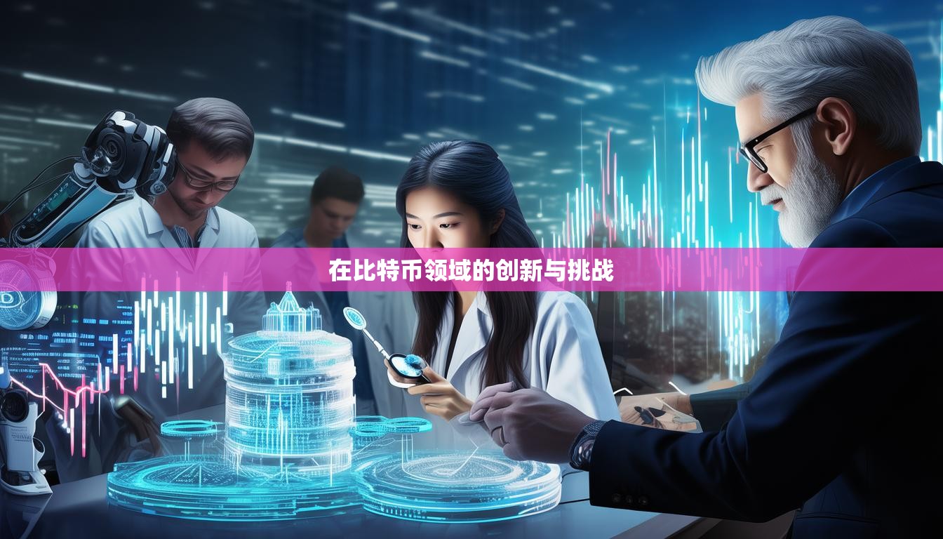 在比特币领域的创新与挑战  第1张