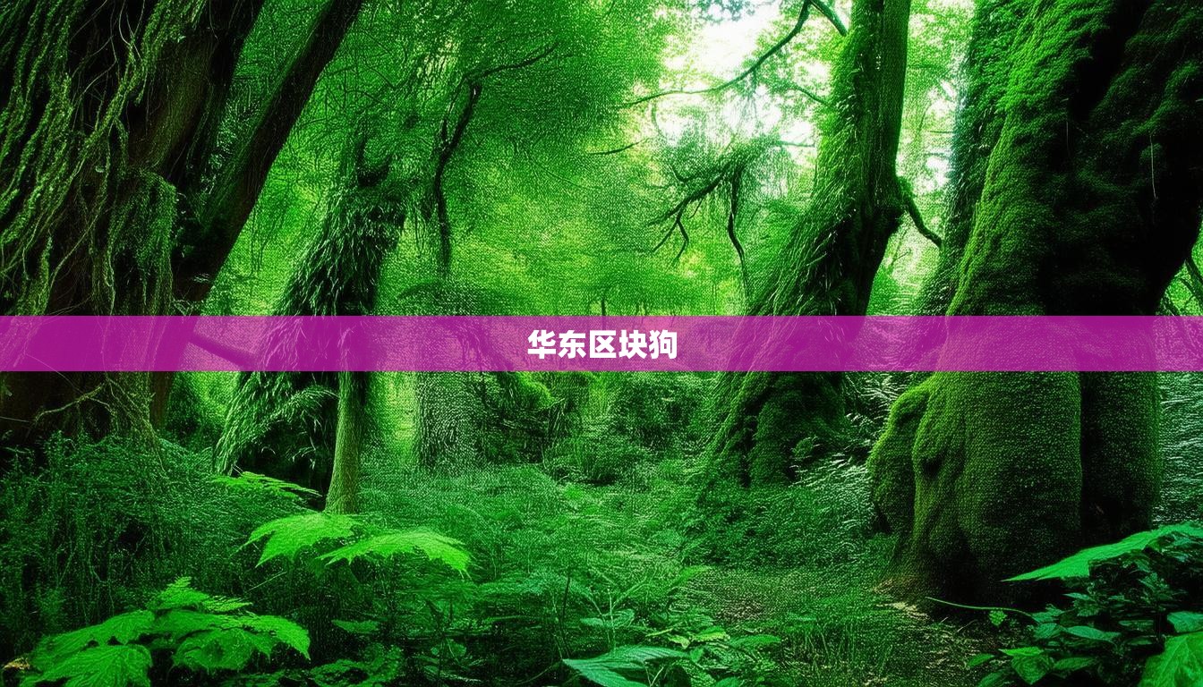 华东区块狗  第1张