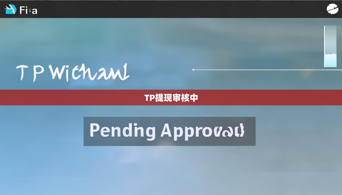 TP提现审核中  第1张