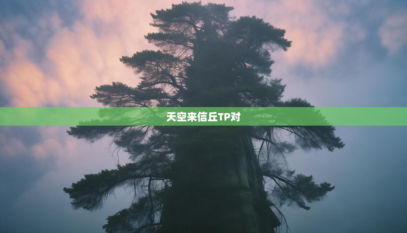 天空来信丘TP对